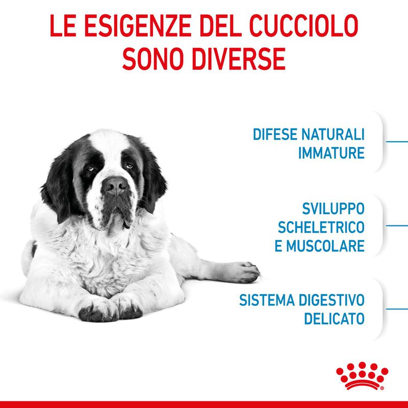 Royal Canin Dog Giant Junior 15 kg