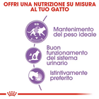 Royal Canin Cat Adult Sterilised Salsa 85 gr