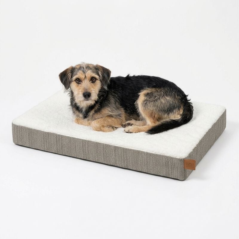 L'Isola dei Tesori Materasso per cani Memory Mattress Grigio 60 x 100 cm