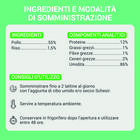 Schesir Cat Filetti di Pollo in Gelatina 70g
