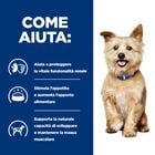 Hill's Prescription Diet Dog k/d Kidney Care 4 kg