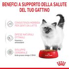 Royal Canin Kitten in Salsa 85 gr