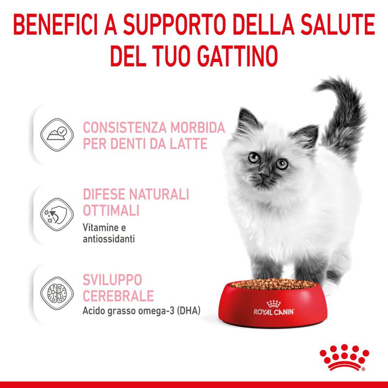 Royal Canin Kitten in Salsa 85 gr