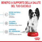 Royal Canin Dog Puppy X-Small 500 gr
