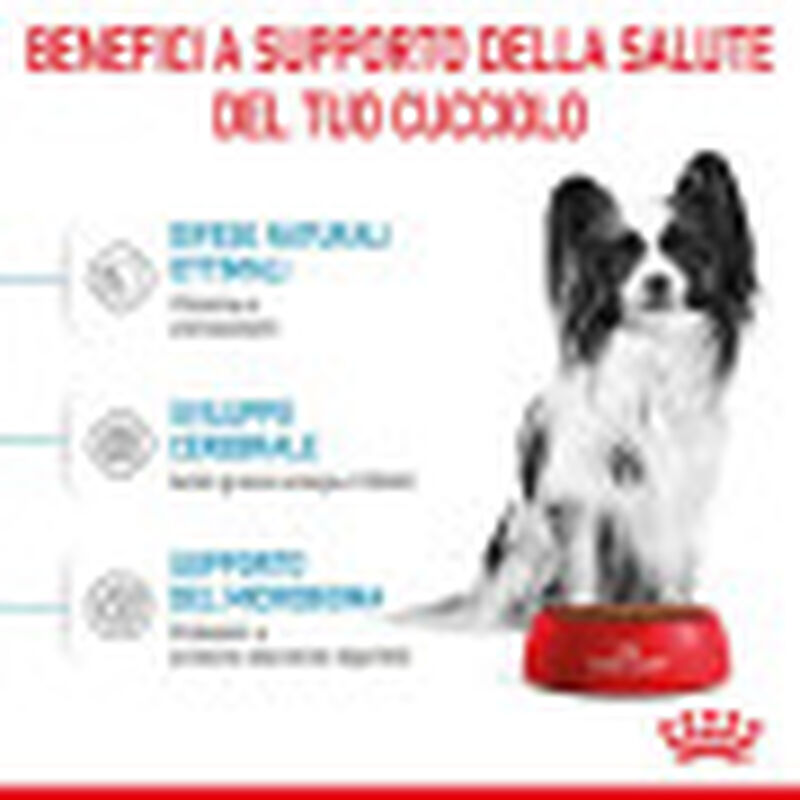 Royal Canin Dog Puppy X-Small 500 gr