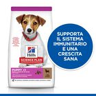 Hill's Science Plan Dog Small & Mini Adult con Agnello e Riso 1,5 kg