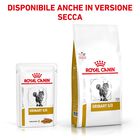 Royal Canin Veterinary Diet  Cat Urinary S/O Gravy12x85 gr