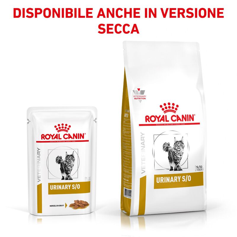 Royal Canin Veterinary Diet  Cat Urinary S/O Gravy12x85 gr