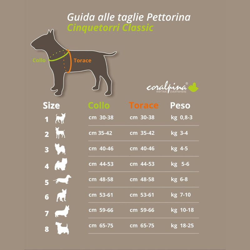 Coralpina Pettorina Cinquetorri Rosa Tg 2