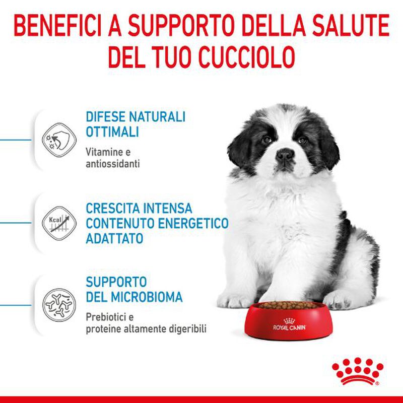 Royal Canin Dog Giant Puppy 15 kg