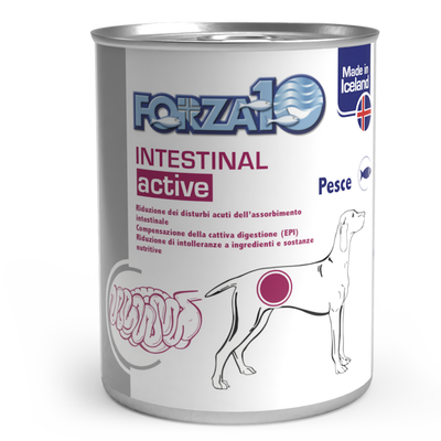 Forza 10 Diet Dog Adult Intestinal Actiwet 390 gr