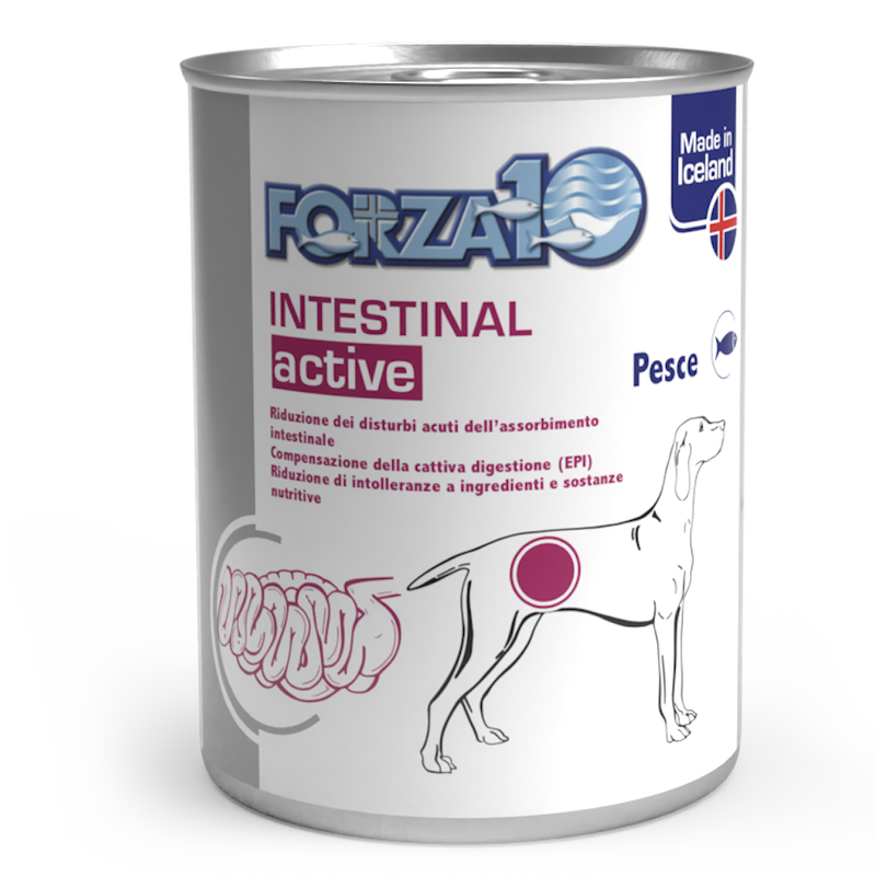 Forza 10 Diet Dog Adult Intestinal Actiwet 390 gr