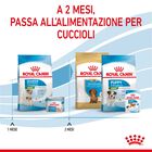 Royal Canin Dog Mini Starter 1 kg