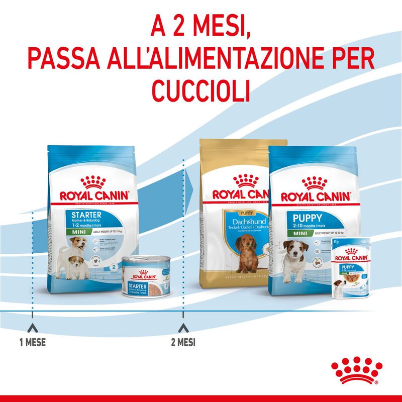 Royal Canin Dog Mini Starter 1 kg