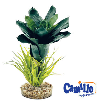 Camillo Repta Passion Pianta Terra Pineapple 27 cm