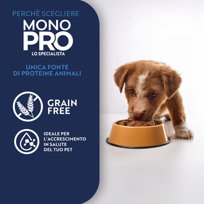 Monopro Puppy All breeds paté Salmone 400 gr