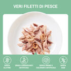 Schesir Cat Tonnetto e Calamari in Gelatina 70g Schesir Cat Tonnetto e Calamari in Gelatina 70g