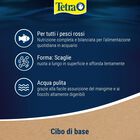 Tetra Goldfish Flakes 100 ml