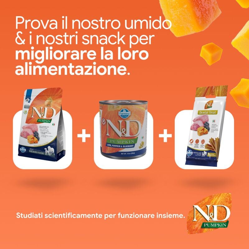 N&D Farmina Pumpkin Dog Adult Medium & Maxi Agnello e Mirtillo 2,5 kg
