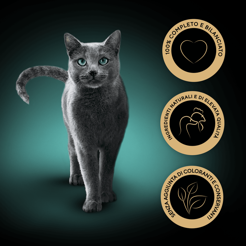 Sheba Cat Busta Delicatezze in gelatina Multipack 60x85gr