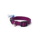 Petup Collare nylon a sgancio 12 mm viola