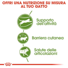 Royal Canin Cat Adult Outdoor 2 kg