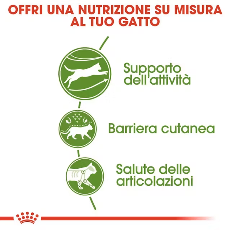 Royal Canin Cat Adult Outdoor 2 kg