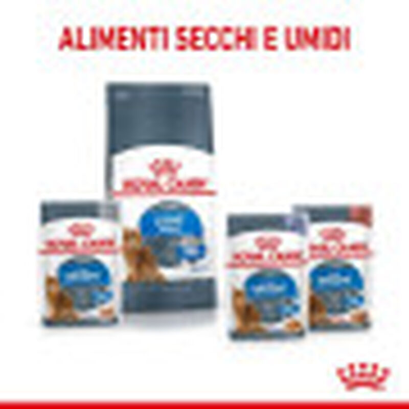 Royal Canin Cat Adult Light Weight Care 400 gr