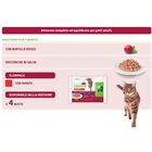 Natural Trainer Cat Adult al Manzo 4 x 85 gr