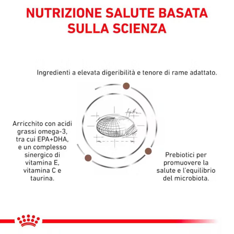 Royal Canin Veterinary Diet Cat Hepatic 2 kg