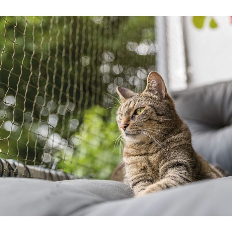 Trixie Reste di Sicurezza per gatti 2 x 1,5mt