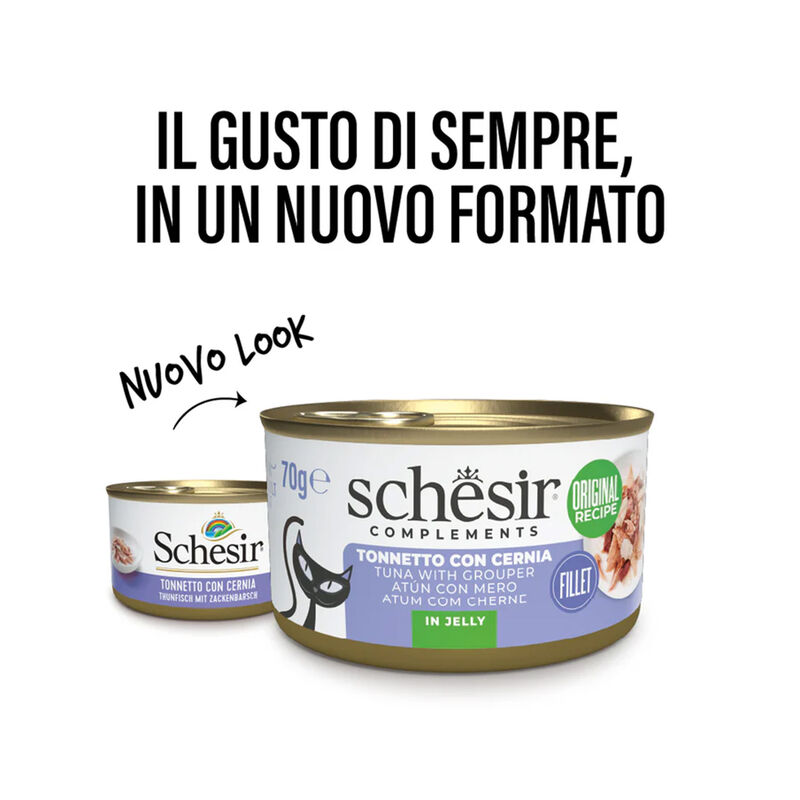 Schesir Cat Adult Tonnetto con Cernia in jelly 70 gr