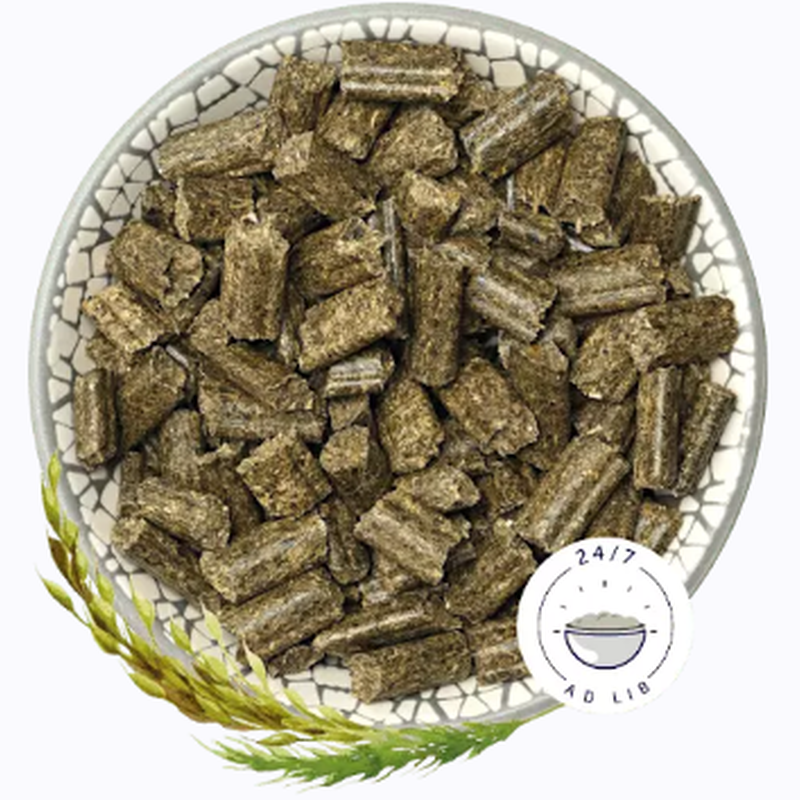 Bunny Sogno per Conigli Herbs 1,5 kg