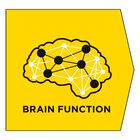 Purina Pro Plan Veterinary Diet Dog NC Neurocare 3 kg