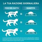 Purina One Bifensis Cat Sterilised Salmone e Frumento 800 gr