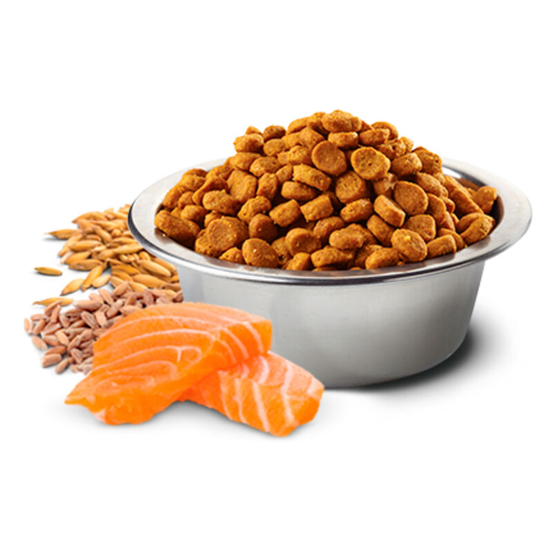 Farmina N&D Tropical Dog Adult Medium&Maxi Salmone e Frutti Tropicali 10 kg