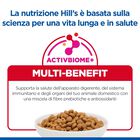 Hill's Science Plan Cat Adult Sterilised Salmone 300 gr
