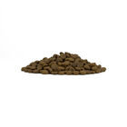 Forza10 Puppy Medium&Maxi Pesce 12 kg