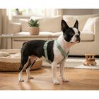 Trixie Premium Pettorina ad H color Salvia mis. XS-S