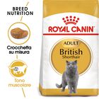 Royal Canin Cat Adult British Shorthair 2 kg