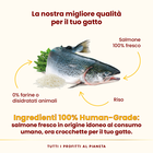 Almo Nature HFC Cat Adult Highly Appetizing Salmone 1,2kg