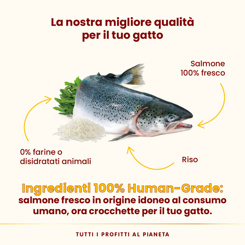 Almo Nature HFC Cat Adult Highly Appetizing Salmone 1,2kg