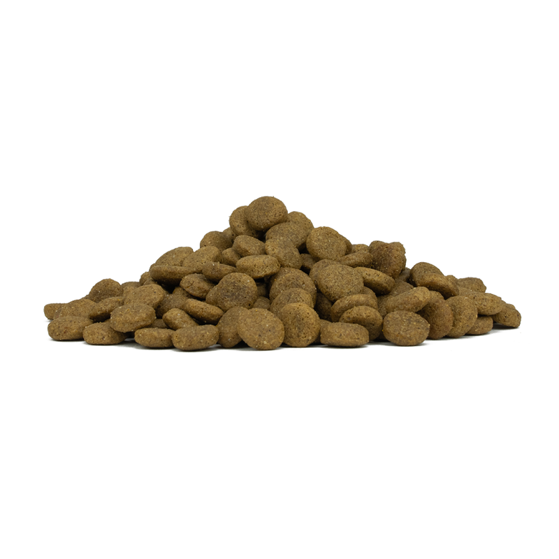 Forza10 Dog Adult Medium Pesce 12kg