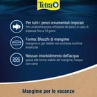 TetraMin Holiday 30 gr