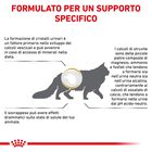 Royal Canin Veterinary Diet Cat Urinary S/O Moderate Calorie 1,5 kg