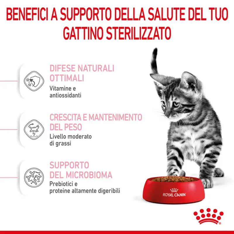 Royal Canin Cat Kitten Sterilised 400 gr