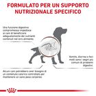 Royal Canin Veterinary Diet Dog Adult Gastrointestinal Moderate Calorie 15 kg