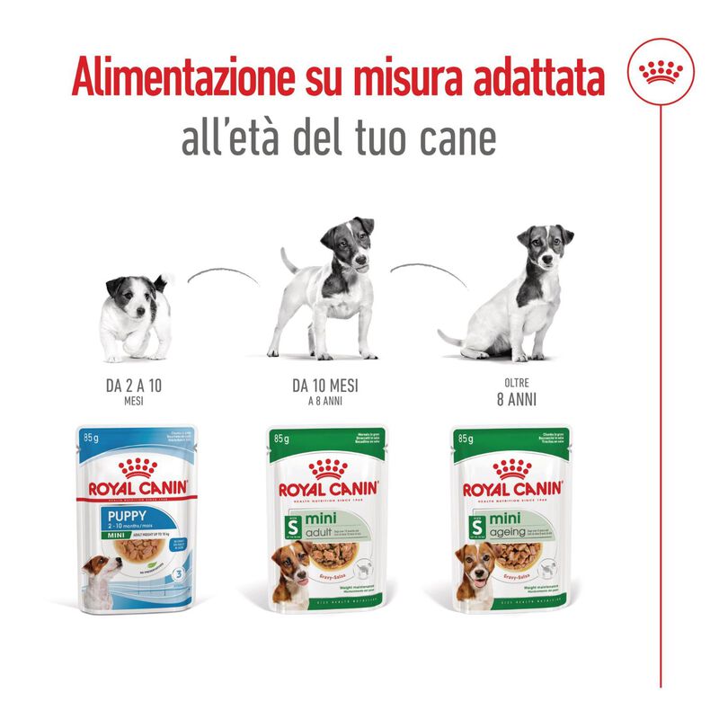 Royal Canin Health Nutrition Dog Senior Mini Ageing 85 gr