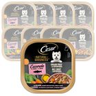 Cesar Dog Natural Goodness Casserole In salsa con salmone 100 gr