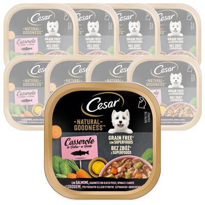 Cesar Dog Natural Goodness Casserole In salsa con salmone 100 gr